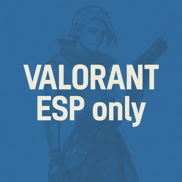 Valorant ESP only